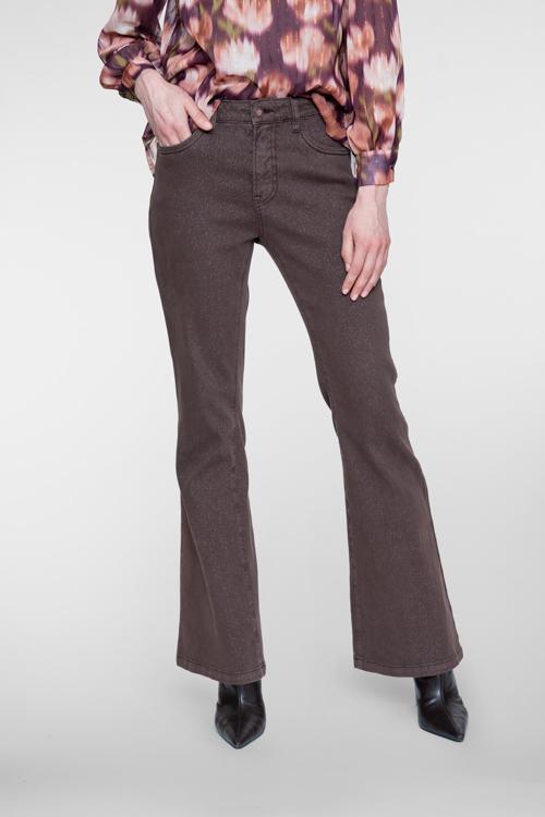 Broek Geisha Brown Lurex